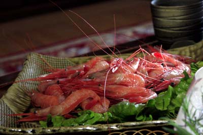 南阿蘇2010年5月 096-1.jpg