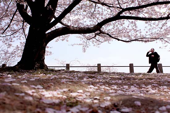 2010.04.05 117-1.jpg