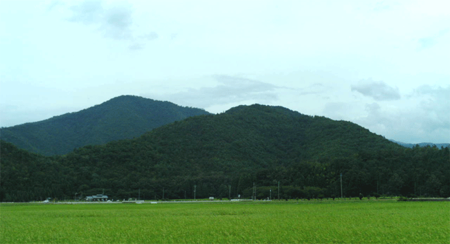 小谷城