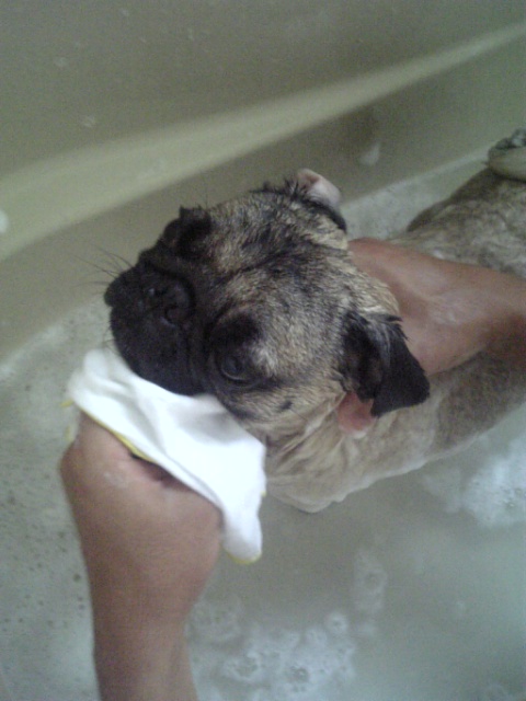 お顔ふきふき~★