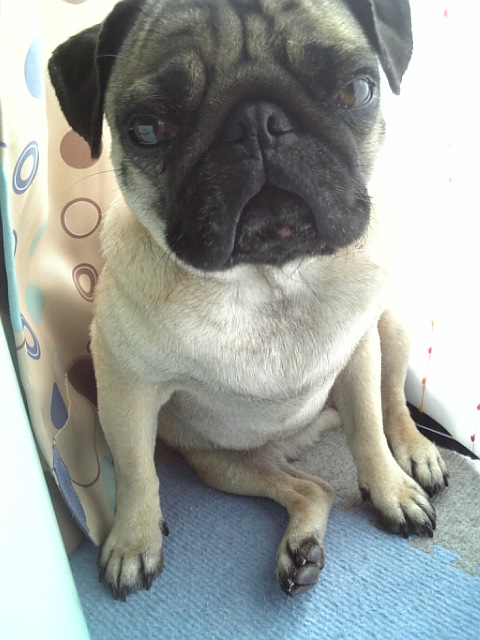 ねむねむ☆その2