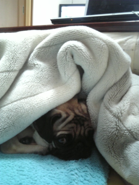 猫みたい～・・・