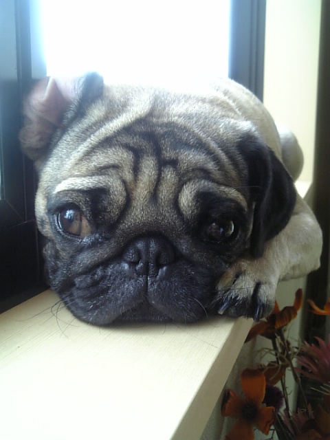 なぜココが好きなのぉ??