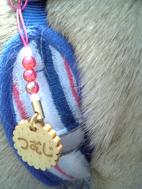 ビスケットのストラップ