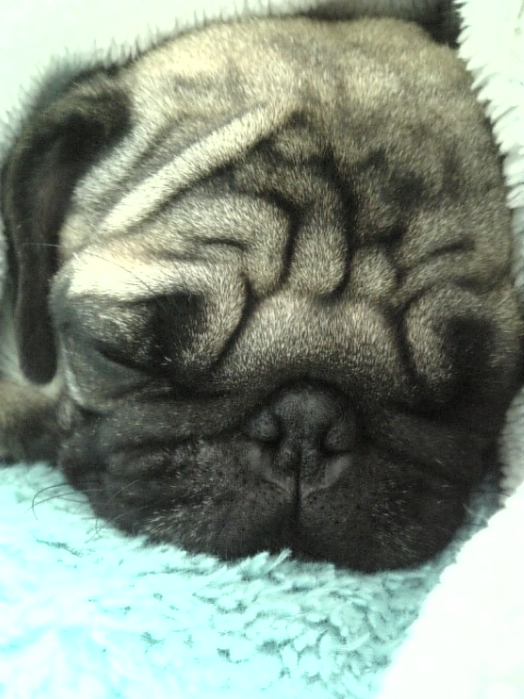 爆睡スランプ（笑）