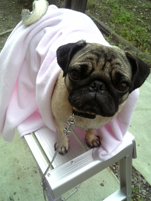 乾かそうねっ☆