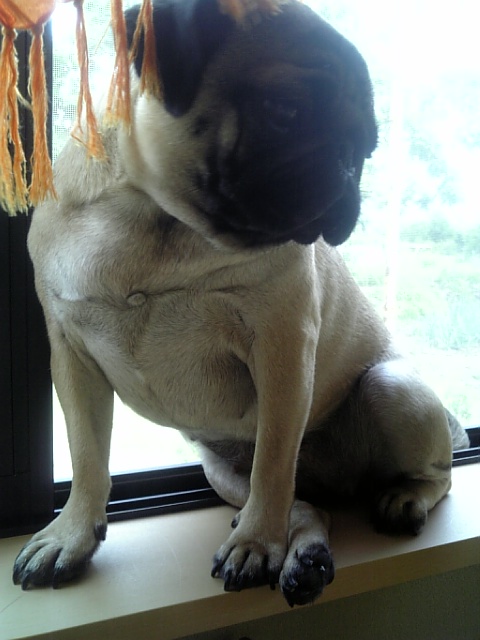 お気に入りの場所だよぉ☆