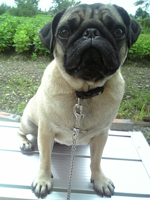 キレイになったよぉ☆