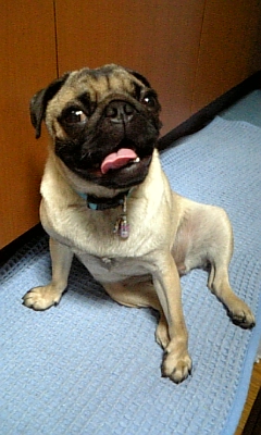 ★オモシロ写真★