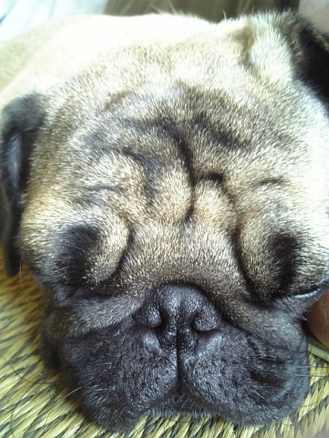 おでこに注目っ☆