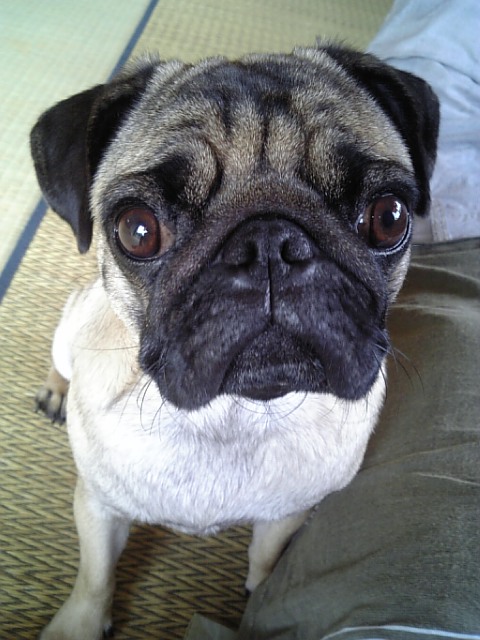 クールなつむじさん☆