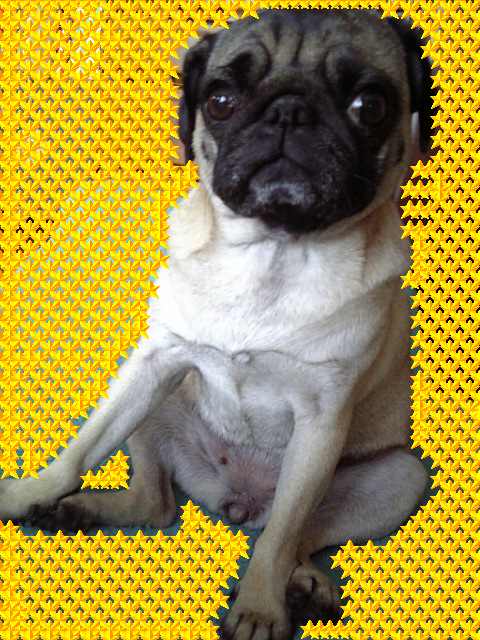 これからもよろしくねぇ♪