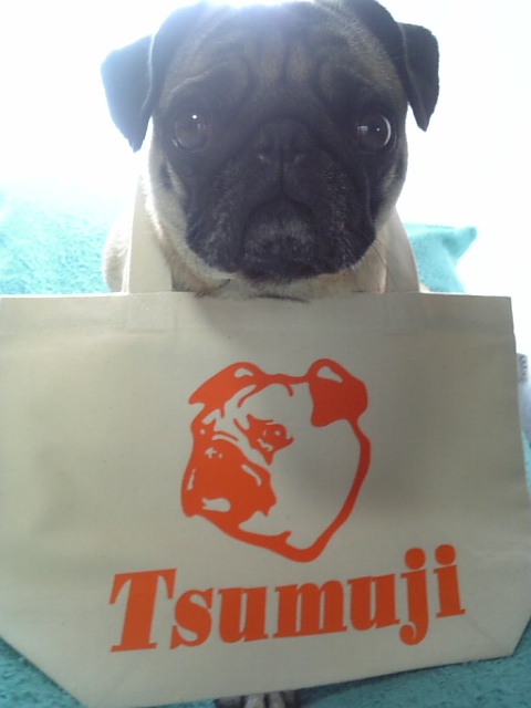 ☆つむじのバッグ☆