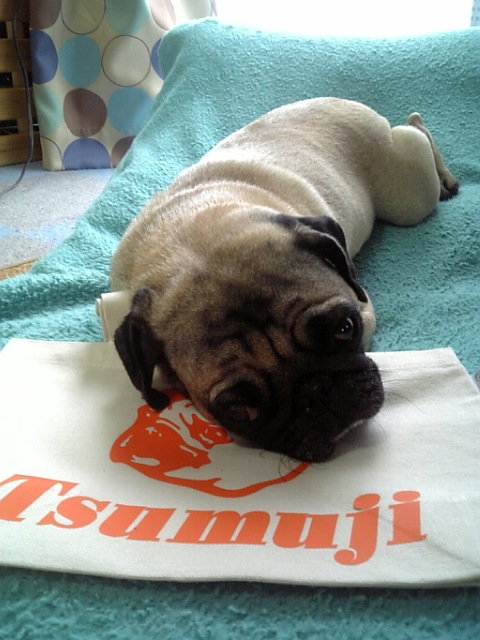 ☆オリジナルバッグ☆