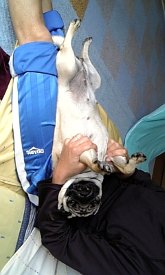 papaのお膝でまったり♪