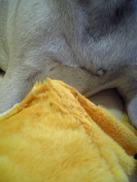 端っこのココが好きなのぉ☆