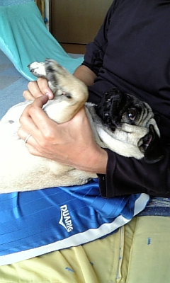 papaを見つめるつむじ★