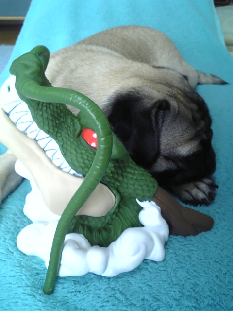 神龍とつむじ★