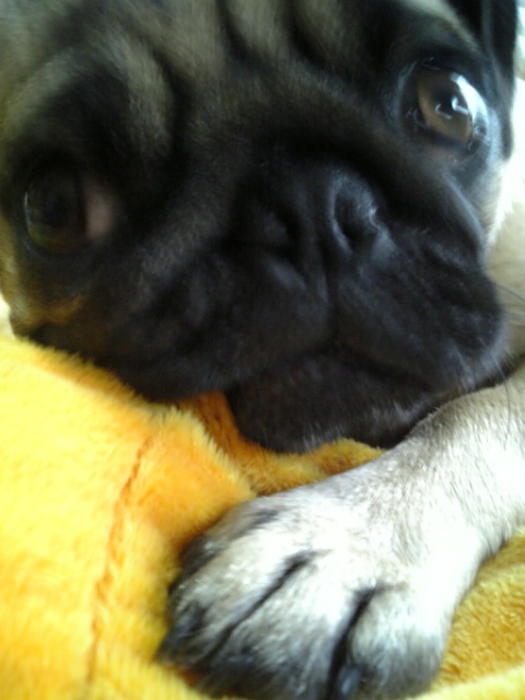 内緒にしてよぉ☆