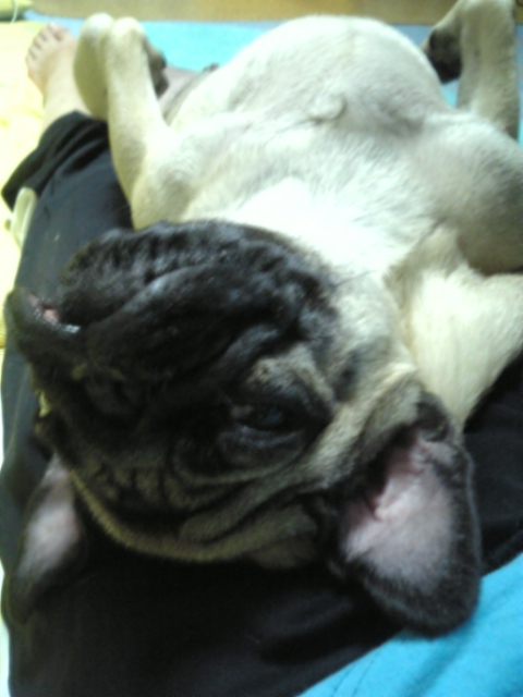 どこでもつむ~★