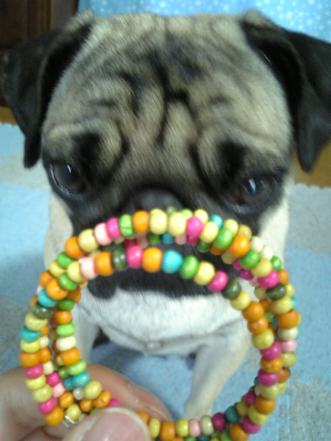 なんじゃコレっ??