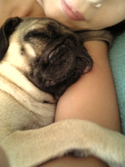 ★mamaとお昼寝★