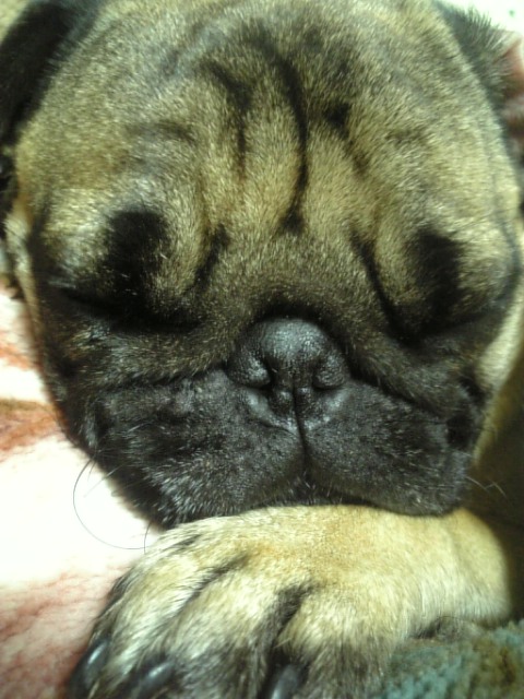 ZZZZZZZZ。。。。