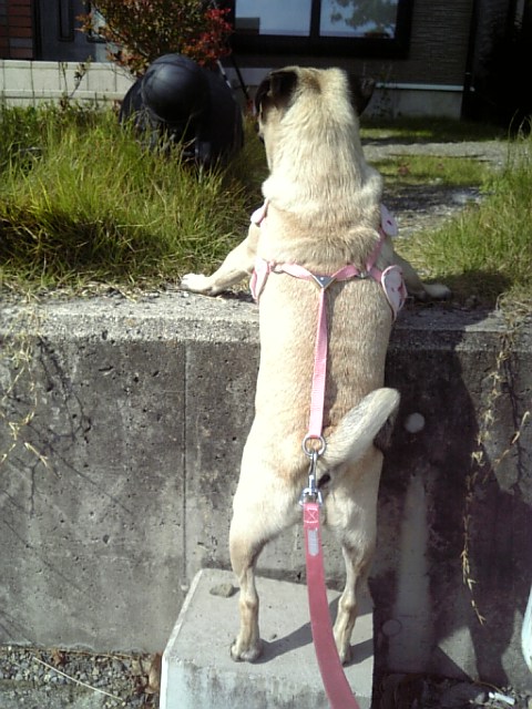 積極的な一面も・・・☆