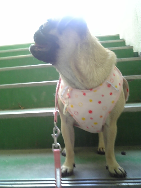 名残惜しい・・・っ★