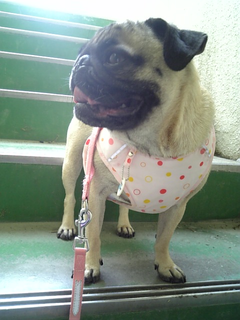 なかなか諦めがつかないのぉ★