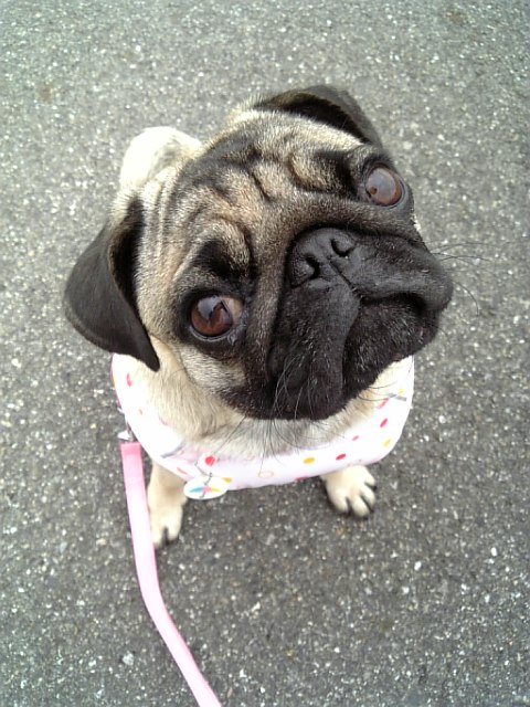 写真撮ってぇ☆