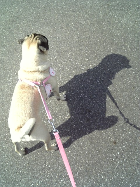 逢いたかったわぁ。。。