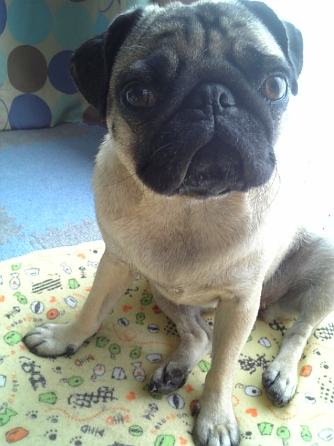 シャンプーしてサッパリ♪