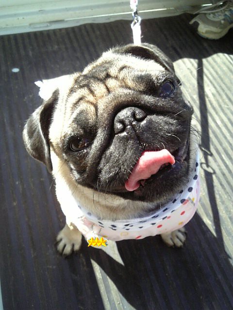 スマイル☆つむじ