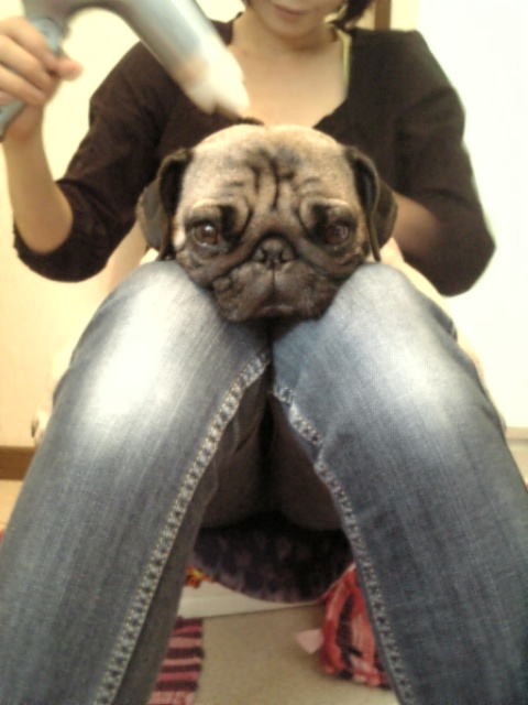 ドライヤー大好き～☆