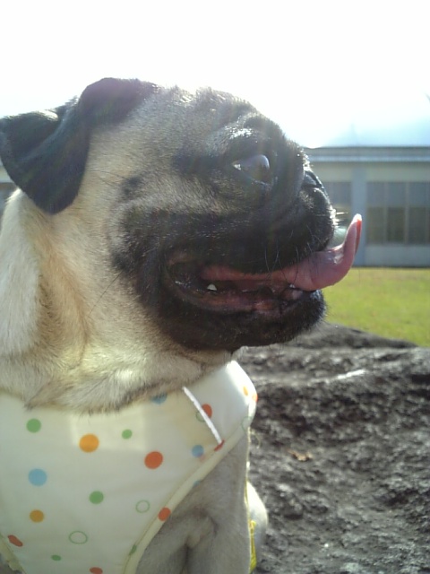 自然に囲まれて。。