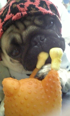 お肉のおもちゃ~☆