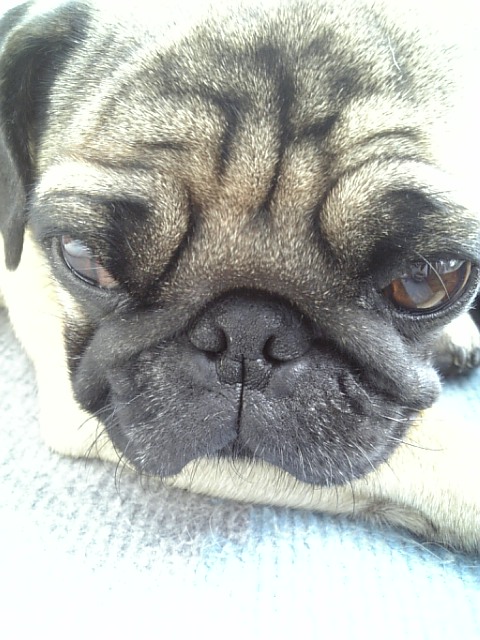 考えるつむじ。。