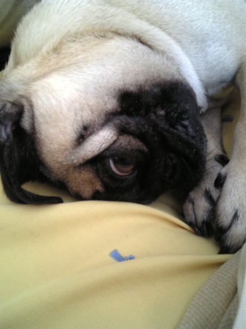 爆睡中。。目が~(笑)