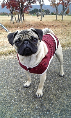 公園にて。。。