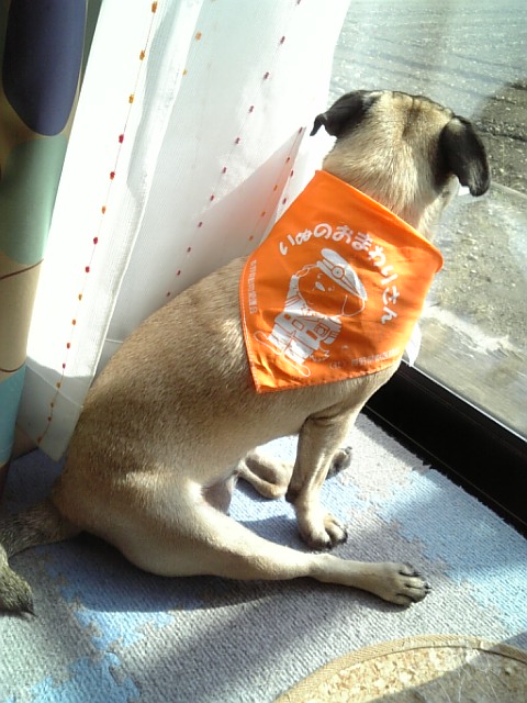 市民の安全を見守るつむじ