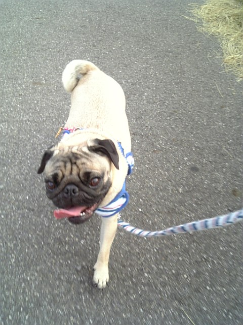 ボルトと勝負だぁ★