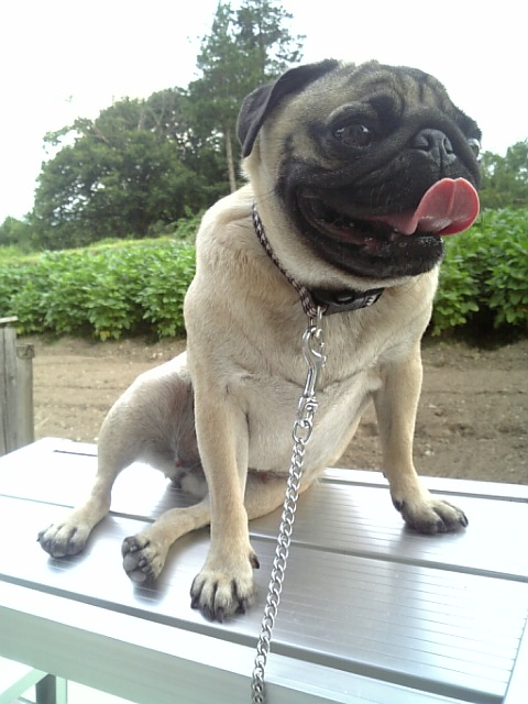 どっこいしょ。。。(笑)