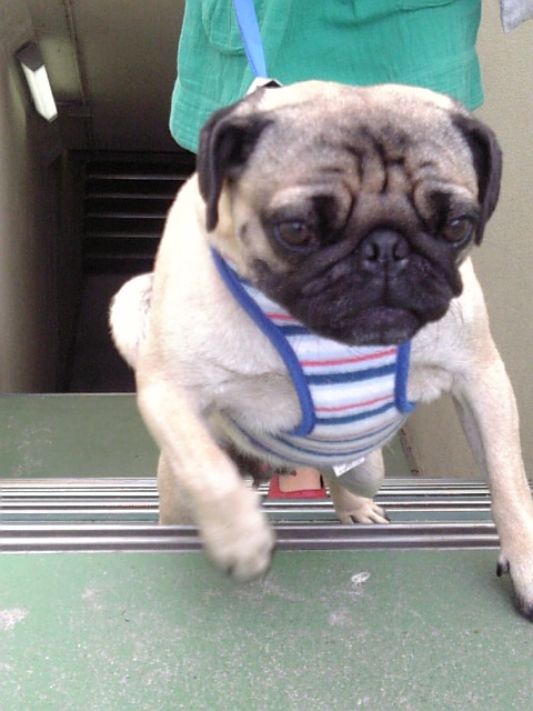 地下道を出た瞬間☆