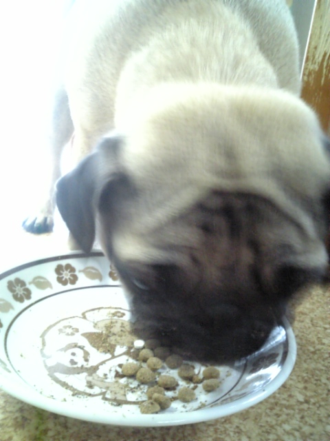 手術後はじめてのゴハン☆