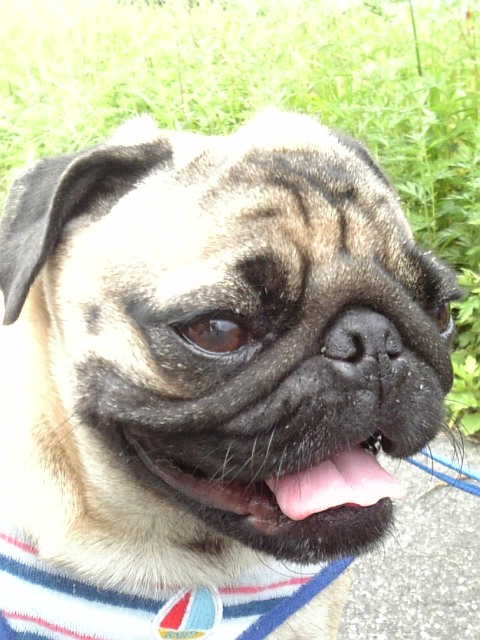 お兄ちゃん撮影☆