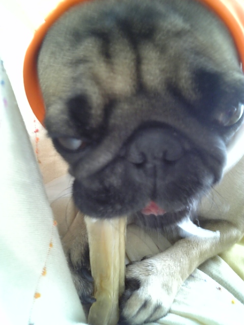 お許しを～。。。