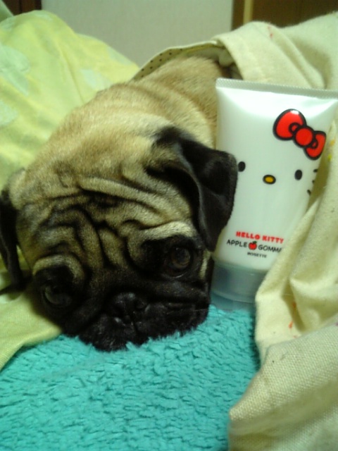 キティのピーリングジェル☆