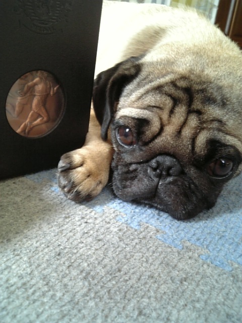 ねぇねの銅メダル