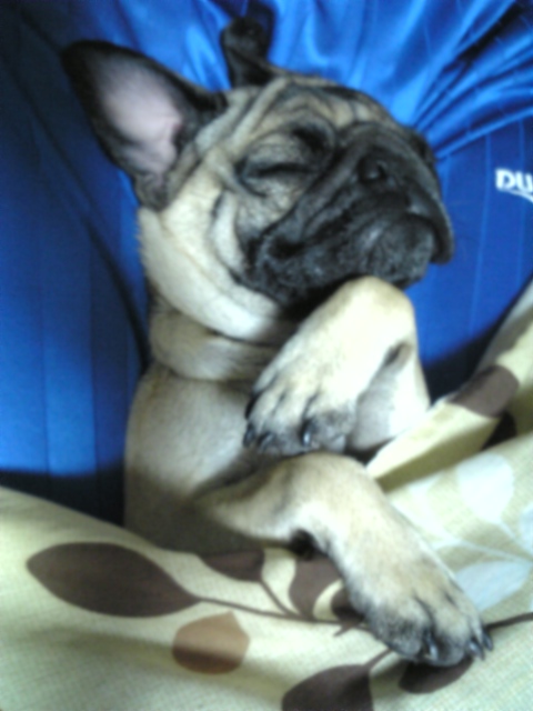 ☆大スキな場所☆